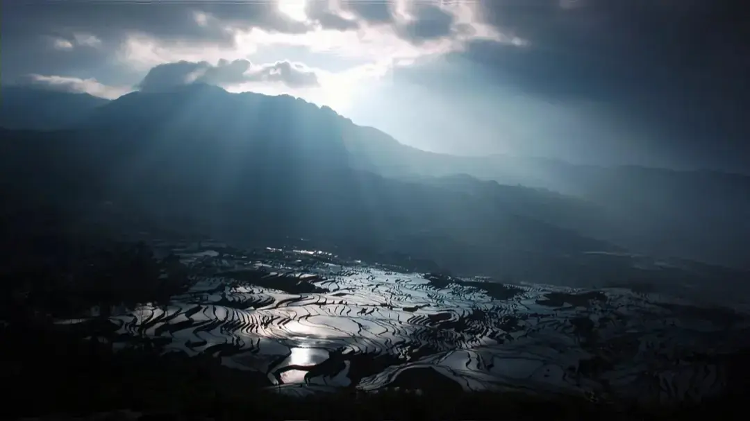 非线性舌尖风物